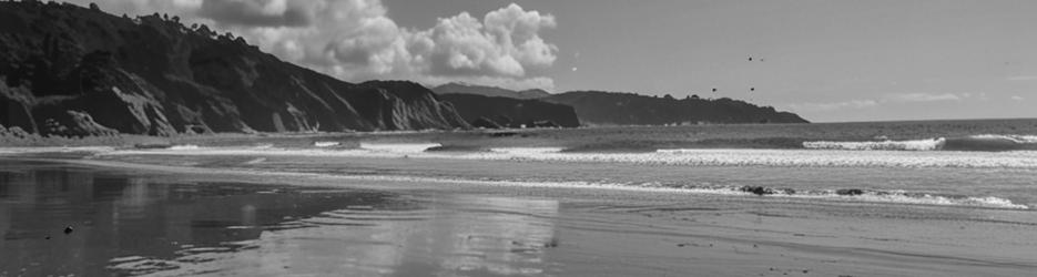 Place Of Cook's Landing In New Zealand - Localista