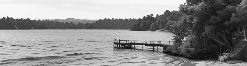 Harihari Coastal Walkway - Localista