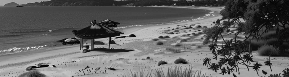 Jibbon Beach Bundeena - Localista