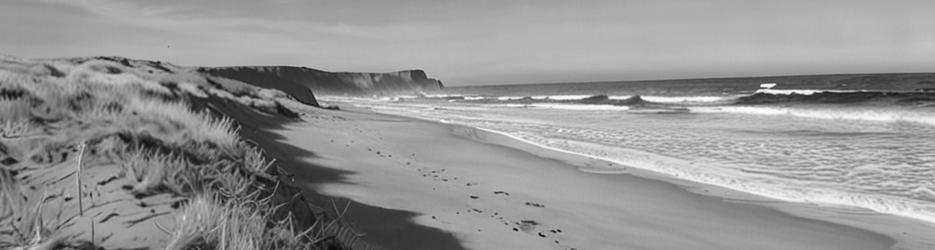 Gunnamatta Ocean Beach to Rye Ocean Beach (part of The Coastal Walk) - Localista