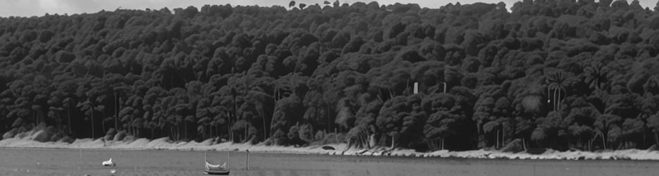 Tallebudgera Creek - Localista