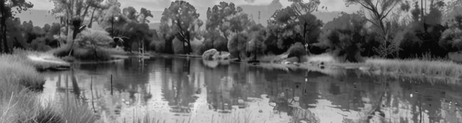 Mansfield Mullum Wetlands - Localista