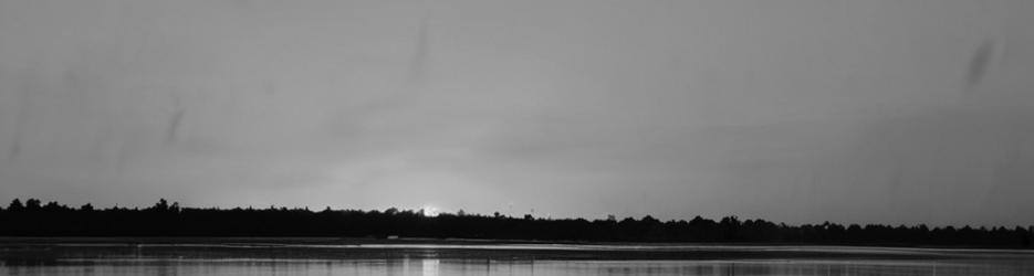 Birdwatching on the Fraser Coast - Localista