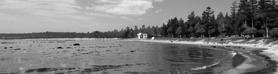 Sorrento Front Beach - Localista