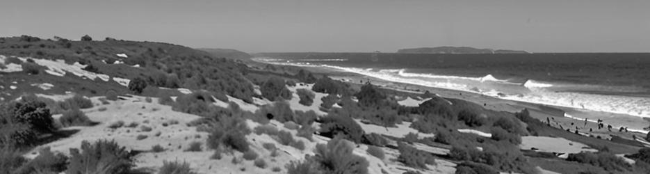 Streaky Bay - Back Beach - Localista