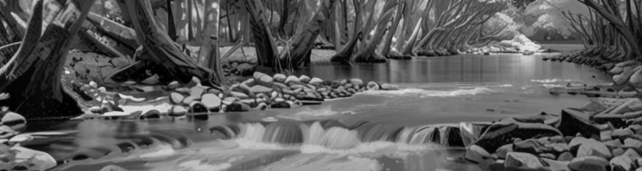 Tully Gorge National Park - Localista