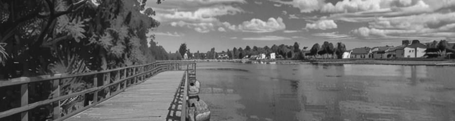 Mill Bay Boardwalk Narooma - Localista