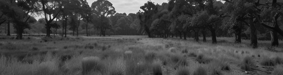 Penola Conservation Park - Localista