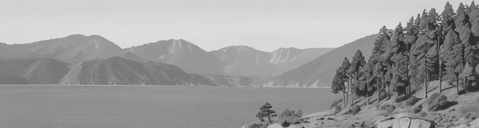 Dartmouth Dam Wall Picnic Area - Localista