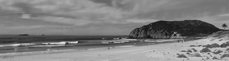 Elizabeth Beach picnic area - Localista