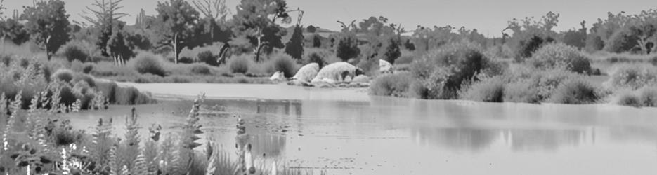 Birdsville Billabong - Localista