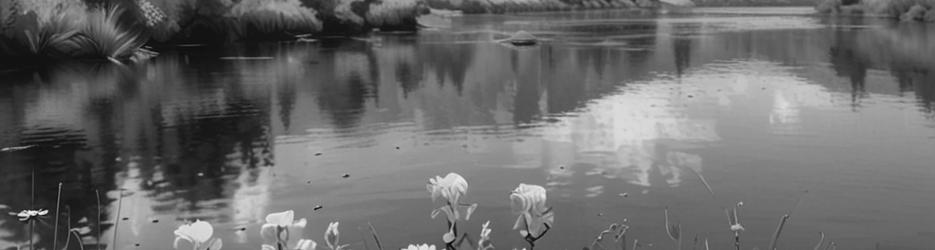 Thredbo River - Localista