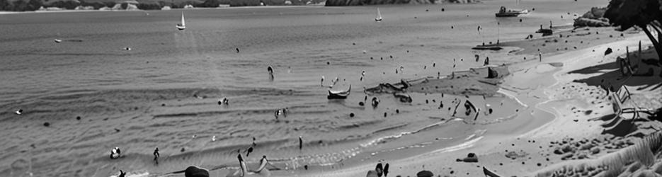 Salmon Haul Reserve Cronulla - Localista