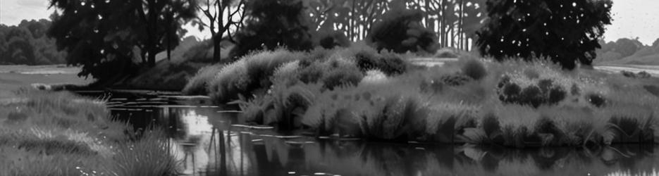 Mother of Ducks Lagoon Nature Reserve - Localista