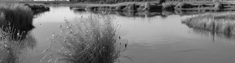 Rocky Gully Wetlands - Localista