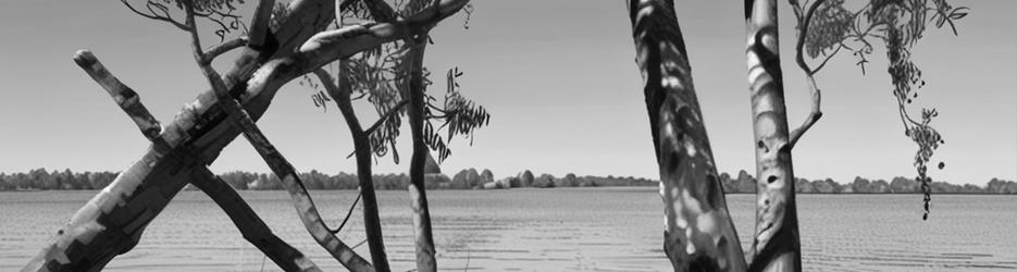 Lake Broadwater Conservation Park - Localista