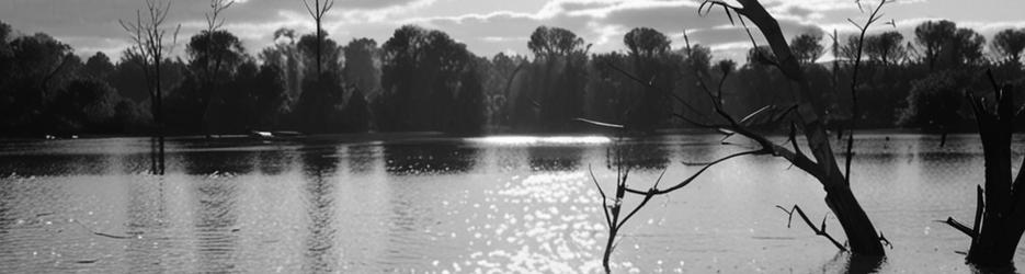 Morton Boulka picnic area - Localista