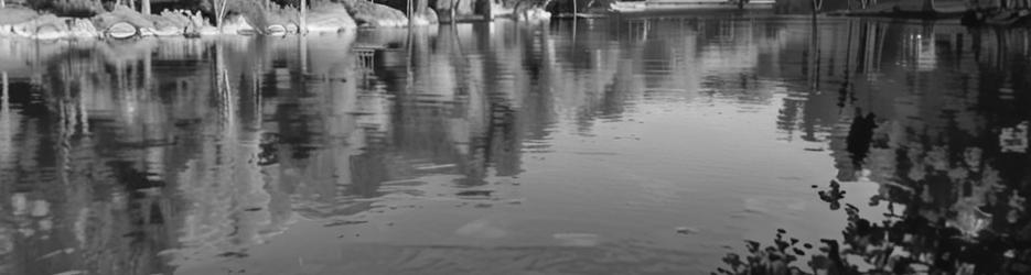 Murrumbidgee River - Localista