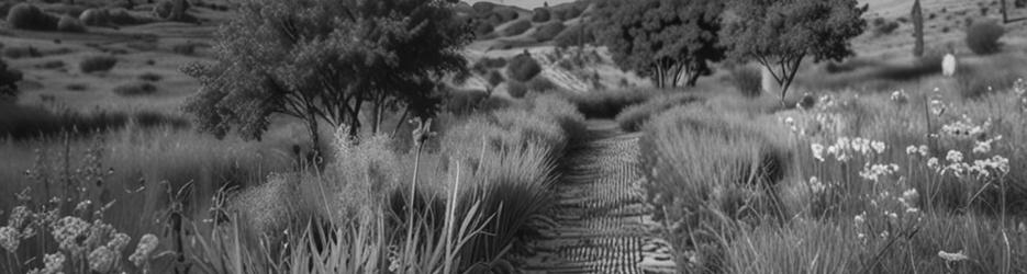 North Head Sanctuary - Localista