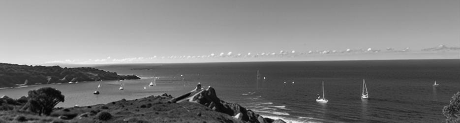 Snapper Point lookout - Localista