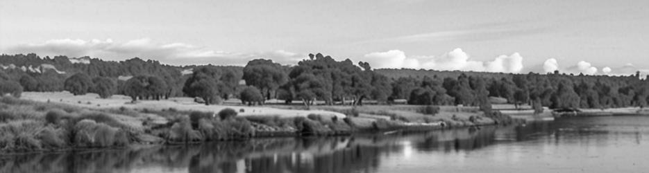 Onkaparinga River Recreation Park - Localista