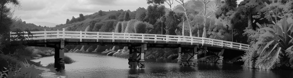 Currawong Flat picnic area - Localista