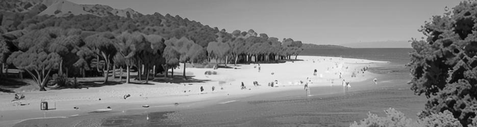 Wattamolla Beach - Localista