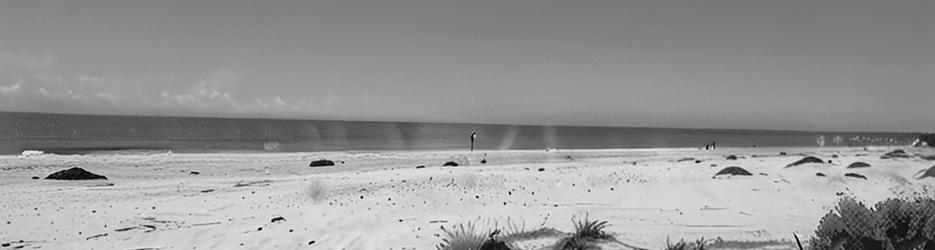 Shark Bay picnic area - Localista