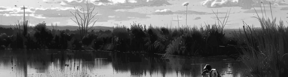 Gwydir Wetlands State Conservation Area Moree - Localista