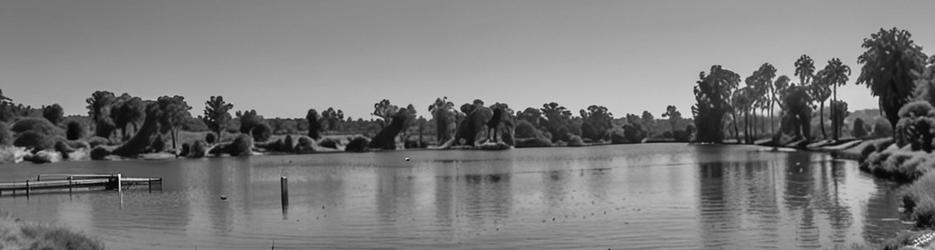 Victoria Park Lake - Localista