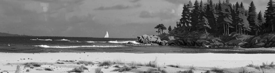 Coolangatta Beach - Localista