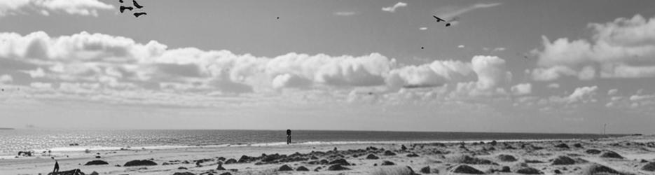 Point Moore Lighthouse - Localista