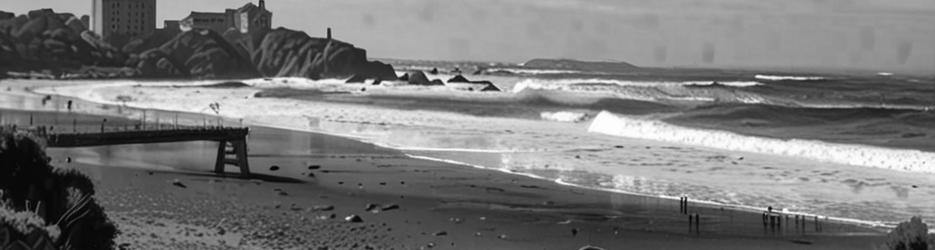 Shelly Beach RockPool - Localista