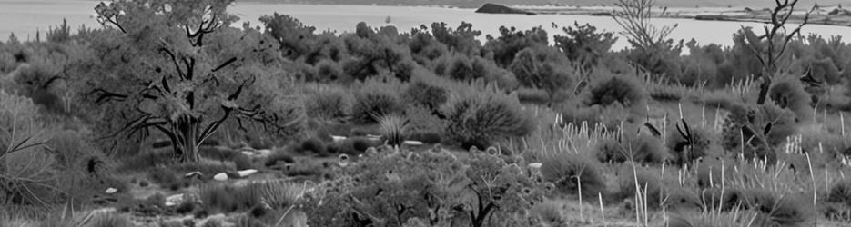 Coffin Bay Lookout - Localista