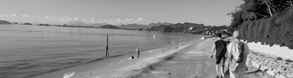 Kuku yalanji cultural heritage beach walk - Localista