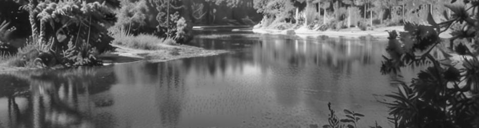 Lake Parramatta Reserve - Localista