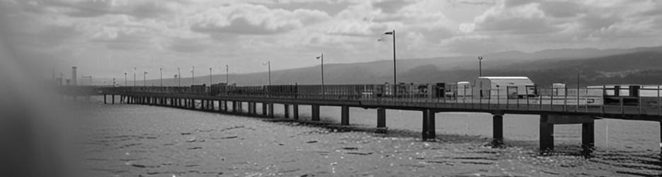 John Pirie Bridge (Bridge to Nowhere) - Localista