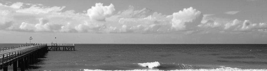 Palm Cove Jetty - Localista