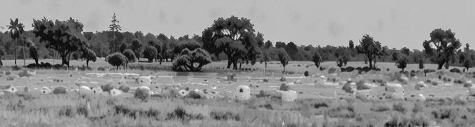 Mutton Hole Wetlands Conservation Park - Localista