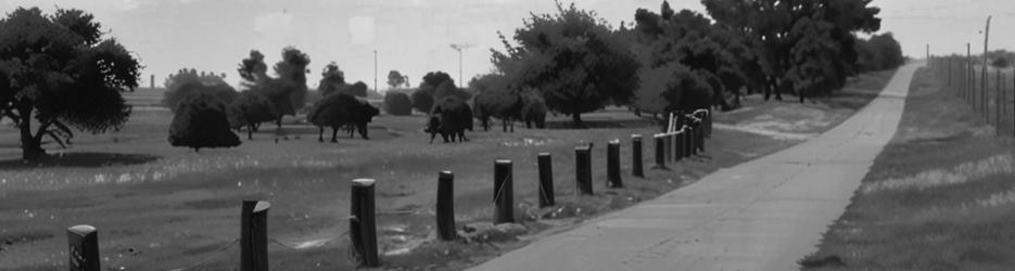 Heffron Park Criterium Cycle Track - Localista