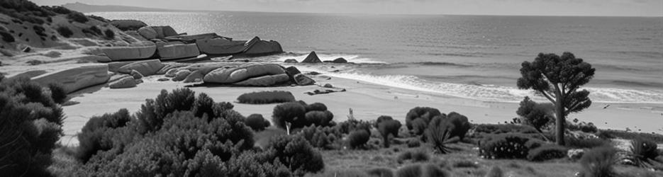 Basham Beach Conservation Park - Localista