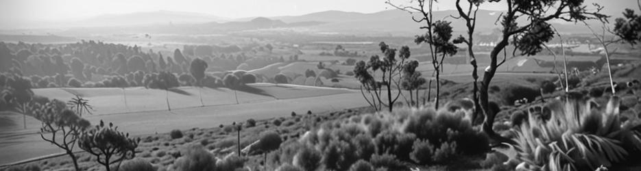 Mount Ida Lookout - Localista