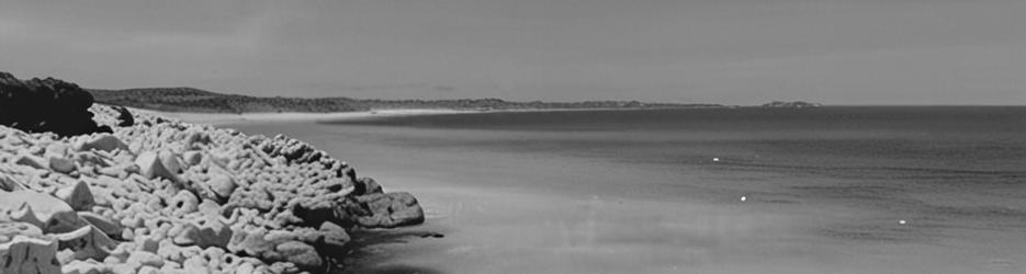 Omeo Shipwreck - Localista