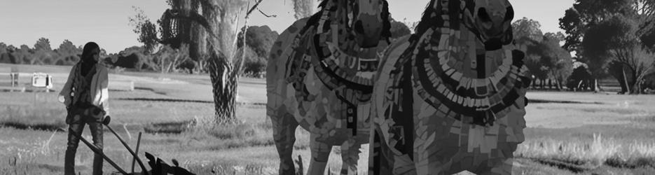 Pastoral Shadows of Brookong - Localista