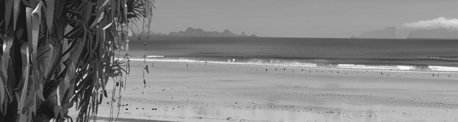 Emu Park Main Beach - Localista