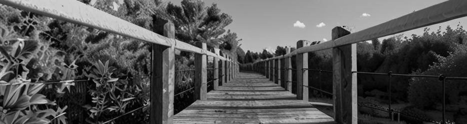 Maroochy River Conservation Park - Localista