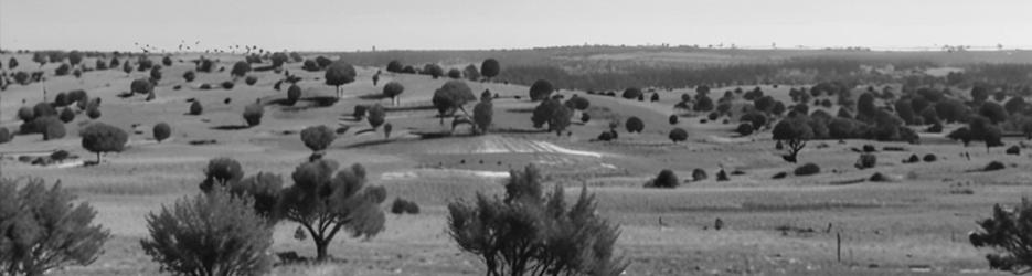 Old Ghan Railway Heritage Trail - Localista