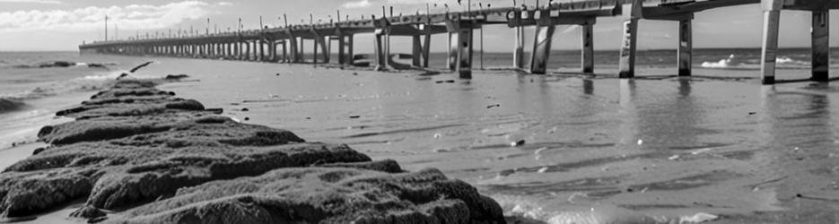 Tumby Bay Jetty - Localista