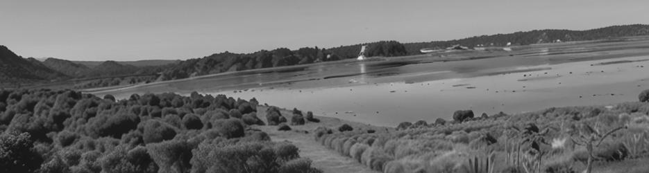 Bittern Reservoir - Localista