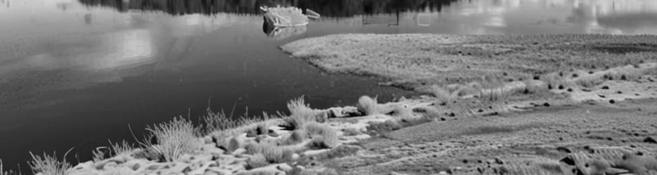 Bostock Reservoir - Localista